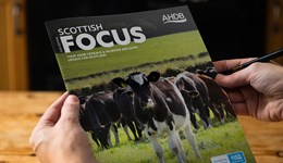 Scottish Focus: Your C&O and Dairy update for Scotland